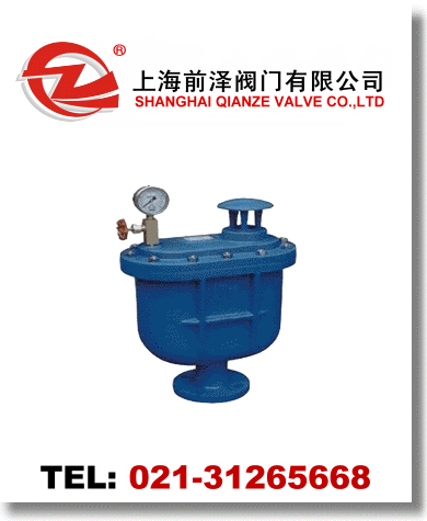 CARX復(fù)合式排氣閥