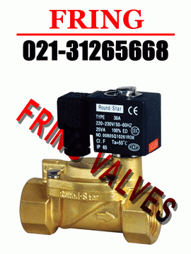 進(jìn)口水用電磁閥