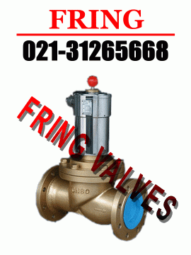 進(jìn)口燃?xì)怆姶砰y